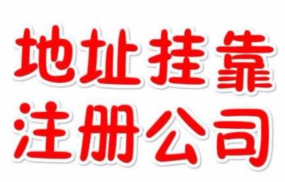 代理記賬一年800元，記賬會(huì)計(jì)代理